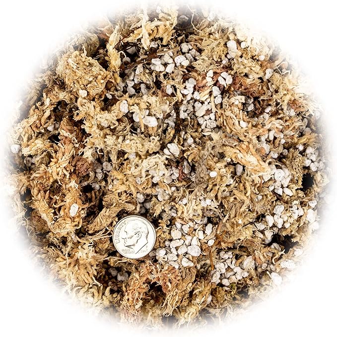 Sphagnum Moss Potting Mix for Carnivorous Plants, Moss and Perlite Blend for Potting Venus Fly Traps, Sarracenia, Pitcher Plants - 75% Sphagnum Moss + 25% Perlite - Made in USA - 2 Quart