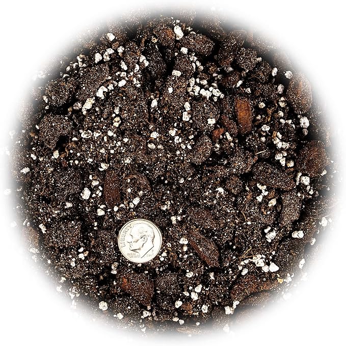Professional Succulent Soil Premium All Purpose Blend | Pre-Mixed Ready to Use for Cactus and Succulents | Sphagnum Peat Moss, Perlite, New Zealand Pine Bark - Made in USA - 5 Quart
