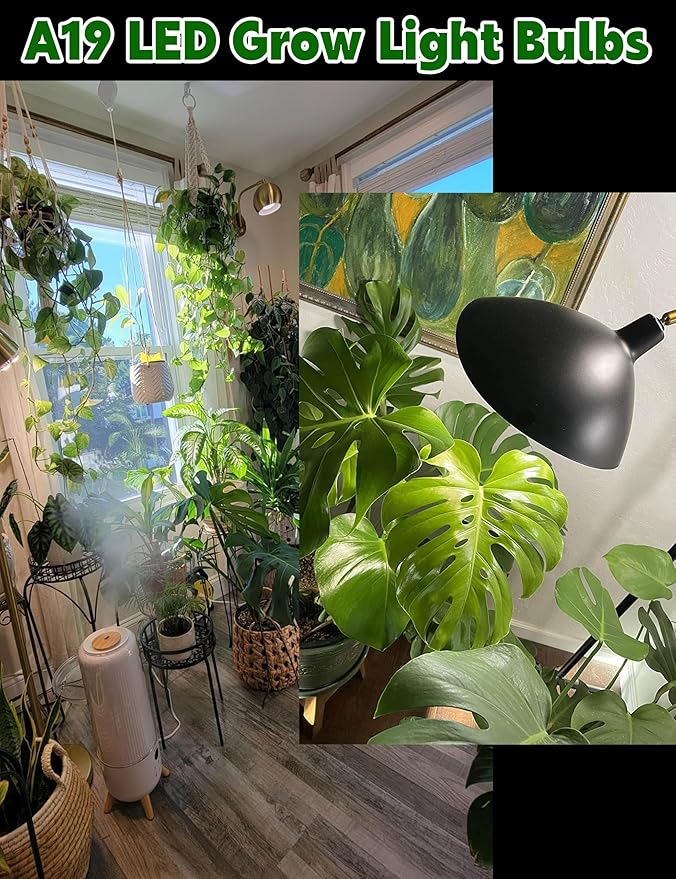 Red Blue 5000K LED Grow Light Bulbs Full Spectrum A19 Bulb, E26 12W Sun Grow Plant Light Bulbs 100w Equivalent, Plant Growing Lamp Bulbs for Flowers, Seed Starting, Indoor Growing, Greenhouse, 6pack