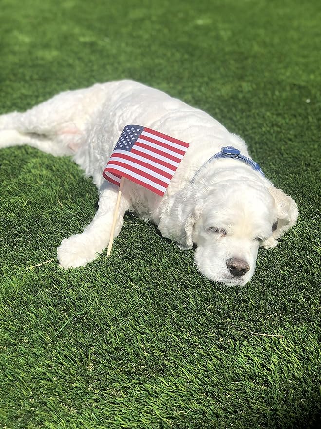 American Flags on Stick - Handheld Spearhead US Flag for 4th of July, Memorial Day Event Decorations - Patriotic Decor for Indoors & Yard - Wooden Stick, Cotton Fabric (4"X6" - 12 Pack)