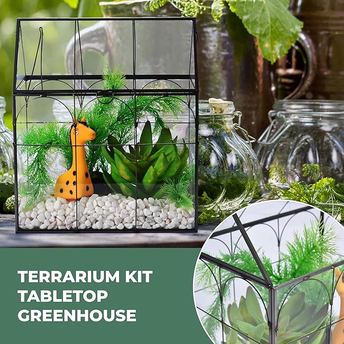 Window Garden Glass Terrarium with Lid - 9x11x6-Inch Indoor Greenhouse Plant Terrarium Decor Planter Dome - Terrarium Kit Tabletop Greenhouse - Plant Accessories Ideal Gift for Nature Lovers