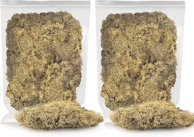 Premium Preserved Reindeer Moss for Potted Plants, Terrariums, Fairy Gardens, Arts and Crafts or Floral Decor Design in Natural (10 Quart)