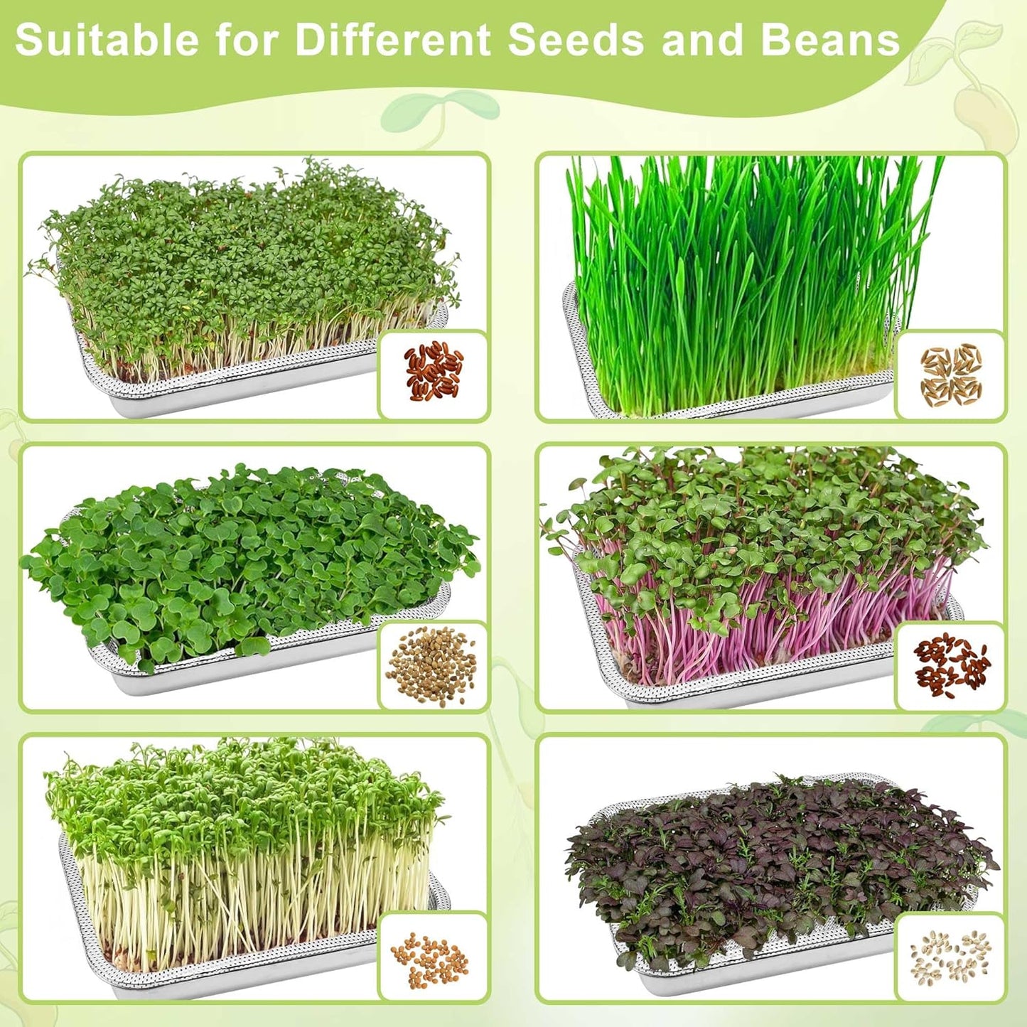 Stainless Steel Sprouts Growing Kit 2-Tier 10.4 inch Trays, Microgreens Growing Kit, Seed Sprouting Tray with Encrypted Mesh Sprouts for Beans Alfalfa Broccoli Wheat Grass