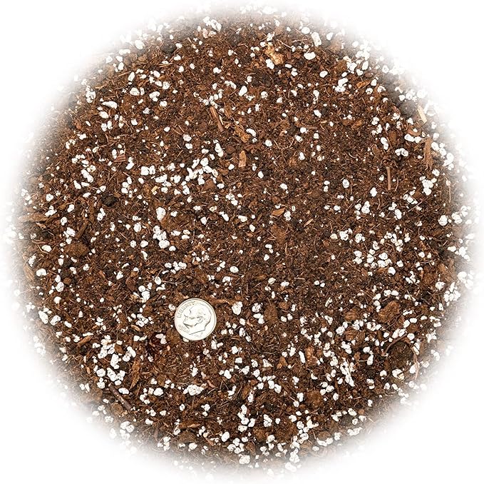 House Plant and Tropical Plant Potting Soil - Re-Potting Soil for All Types of Indoor House Plants - 10 Quart