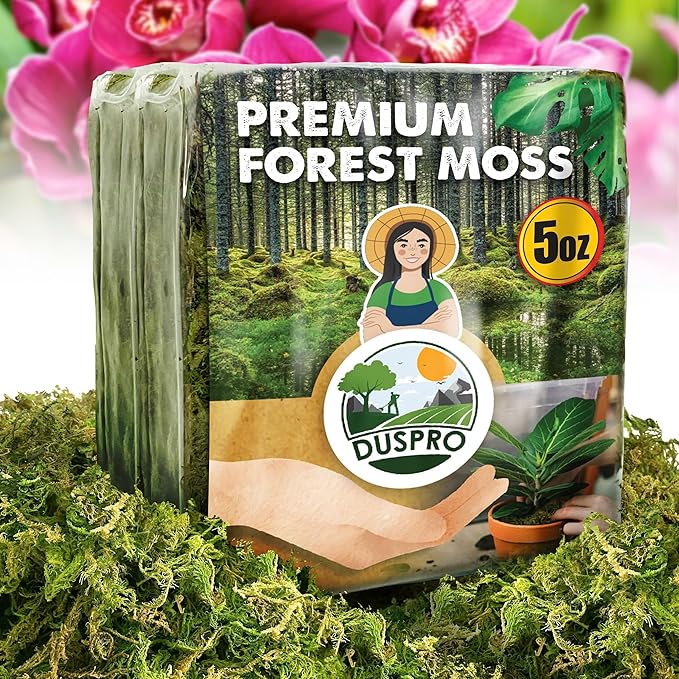 DUSPRO Dried Moss for Potted Plants, Forest Orchid Moss for Potting Mix, Sphagnum Potting Moss for Plants Indoor, Real Moss Soil Cover for Houseplant (5 OZ)