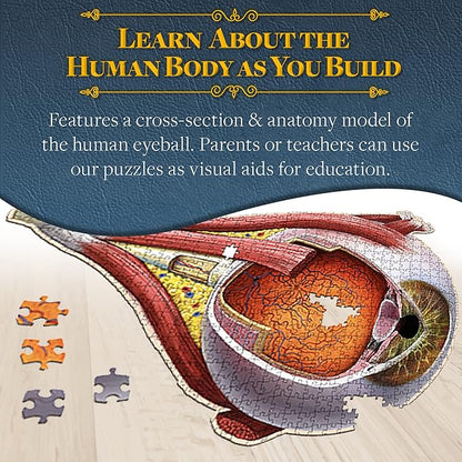 Dr. Livingston's Human Eye Anatomy Puzzle - A Medically Accurate Jigsaw Puzzle of The Human Eye - Educational Science Puzzles and Unique Gifts for Eye Doctors, Nurses and Medical Students