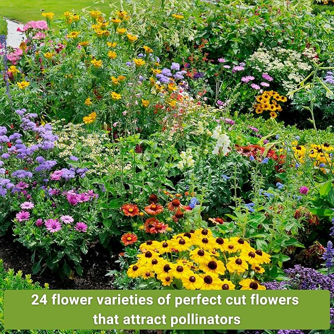 Sow Right Seeds - Large Flower Farm Seed Collection for Planting - Zinnias, Sunflowers, Daisies, Cosmos, Carnations, Stock & More - Attract Pollinators - Non-GMO Heirloom Varieties to Cut Bouquets