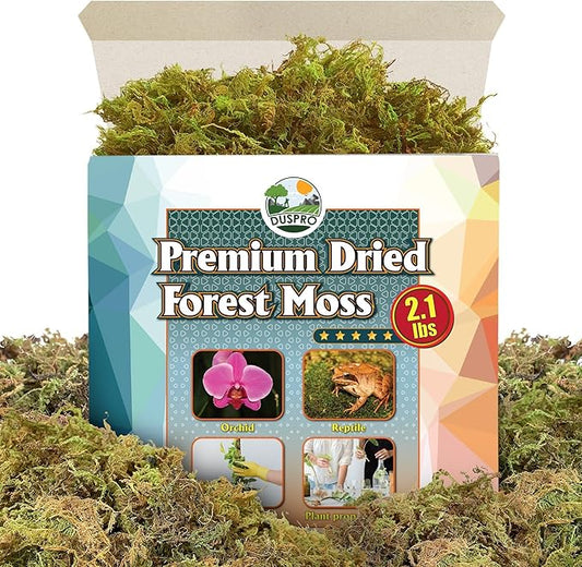 DUSPRO Dried Moss for Potted Plants, Forest Orchid Moss for Potting Mix, Sphagnum Potting Moss for Plants Indoor, Real Moss Soil Cover for Houseplant (2.1 LBS)