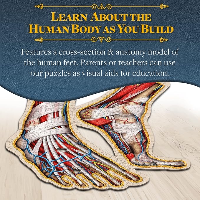 Dr. Livingston's Human Feet Anatomy Puzzle - A Medically Accurate Jigsaw Puzzle of The Feet - Educational Toy of The Human Body - Unique Shaped Puzzle for Doctors, Nurses and Medical Students