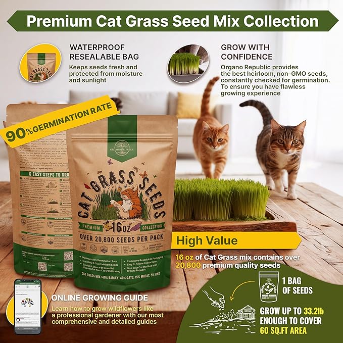 Organo Republic Cat Grass Seeds Mix - 20,800 Non-GMO Heirloom Seeds for Cats & Pets, 16 oz Pack for Growing Fresh Barley, Oat, Rye & Wheat Grass Seeds for Planting, Indoor Plants, Hairball Remedy
