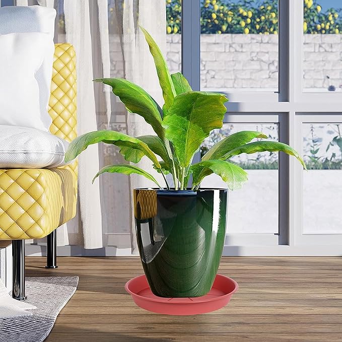 6 Pack of Plant Saucer Tray 7 8 inch, Heavy Duty Plastic Pot Plant Drip Trays Saucers for for Indoors Outdoor, Plant Water Tray for Planters 7-9" (8", Clay)