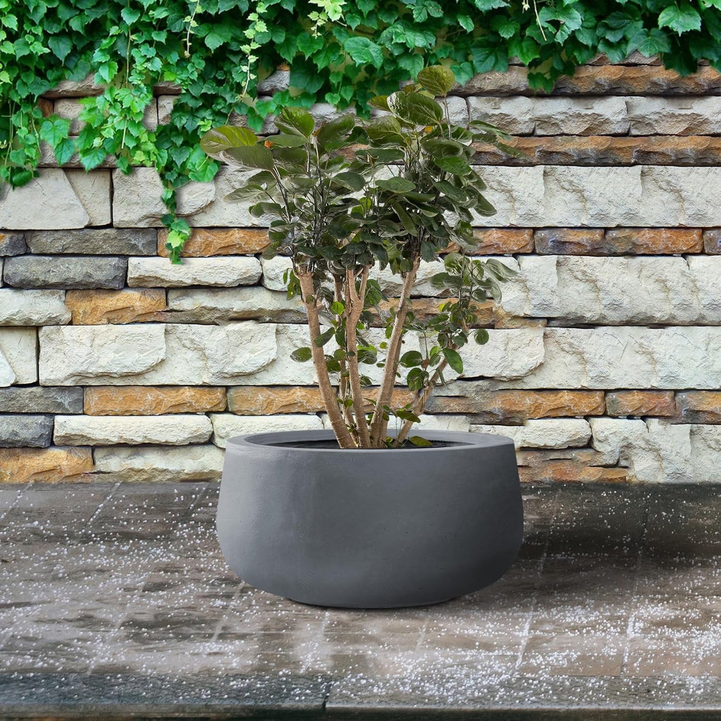 Kante 11.8" Dia Round Concrete Planter, Cement Plant Pots with Drainage Hole and Rubber Plug for Outdoor Indoor Garden Home, Modern Curvaceous Design, Dark Gray