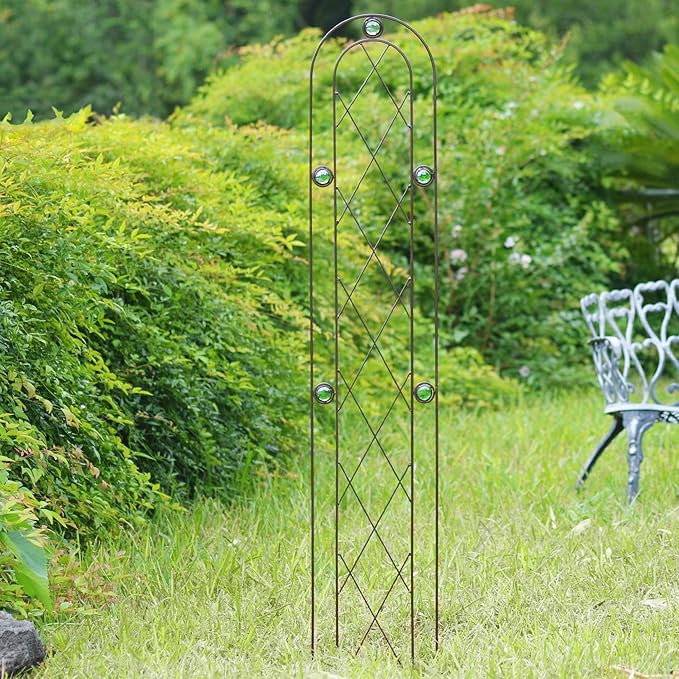 Arcadia Garden Products TR02 Arched Garden Trellis, 5' x 10", Black