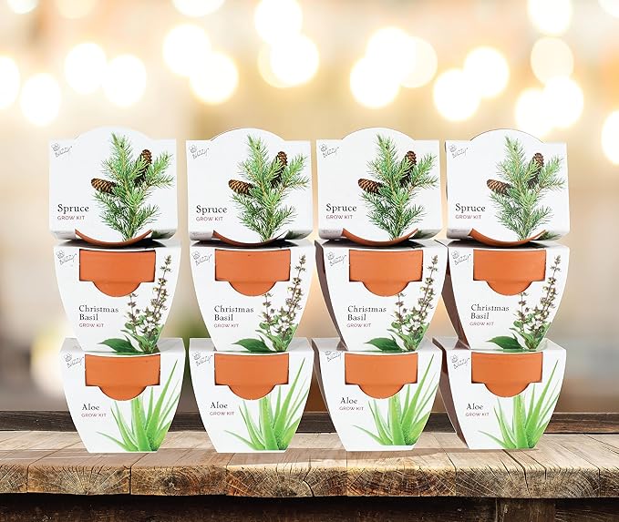 BUZZY Seeds Terracotta Mini Grow Pots | Herb, Plant, Flower Starter Kit for Kids & Adults | Assorted 12-Pack, Radiant Collection | Guaranteed to Grow | Best Indoor Grow Your Own Plant Gardening Gift