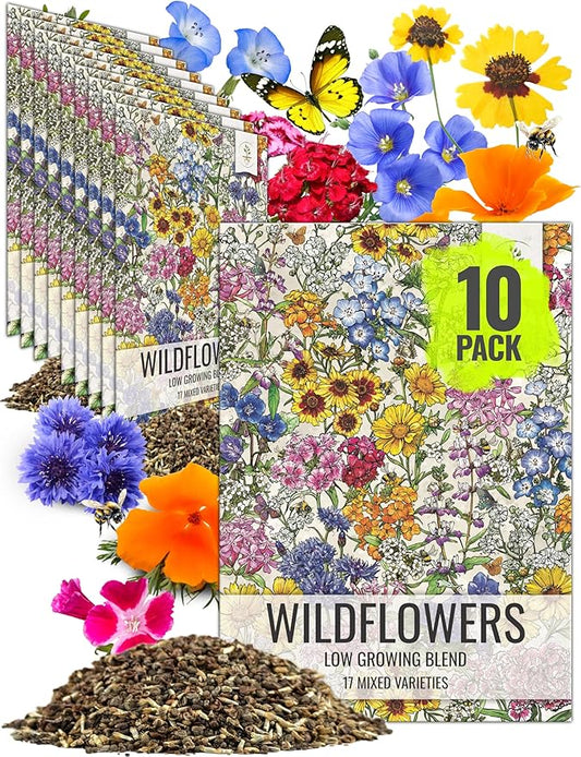 Seed Needs Low Growing Wildflower Flower Seeds for Planting | 10 Packs (1 Ounce Each) Mixture/Blend 17 Varieties | Resealable Package Multicolored Blooms Open Pollinated Mixed Species | Bulk