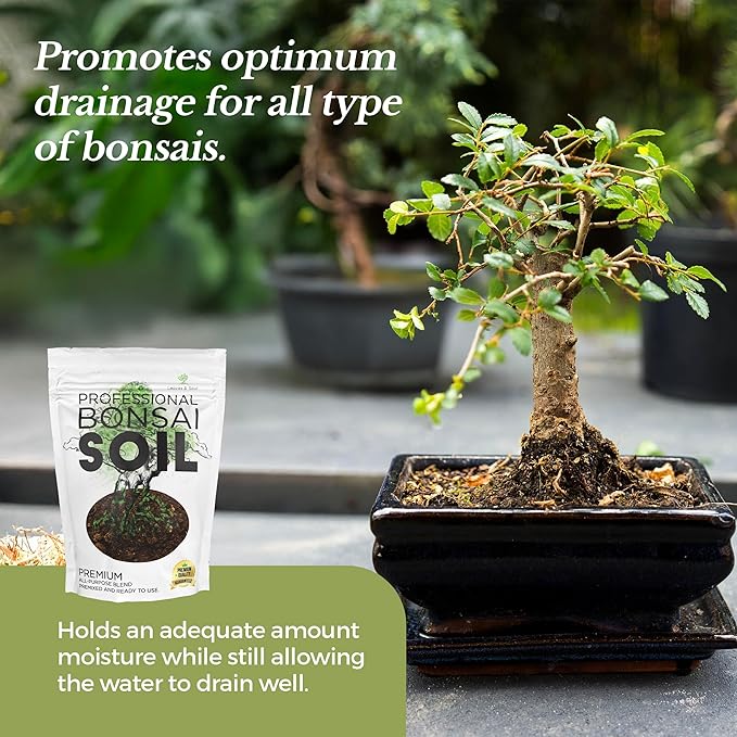 Bonsai Soil Premium All Purpose Blend | Pre-Mixed Ready to Use for Fast Drainage | Large 2.2 Quarts | Lava, Limestone Pearock, Calcined Clay and Pinebark | Made in USA