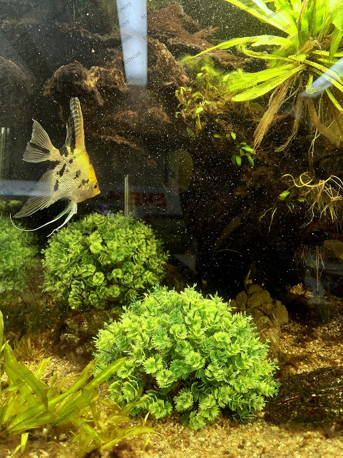 BEGONDIS 2Pcs Aquarium Decorations Fish Tank Artificial Green Water Plants Made of Soft Plastic