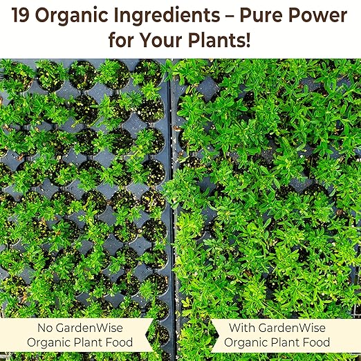 Organic Liquid Plant Food for Indoor Houseplants – All Purpose Fertilizer for Potted Plants, Vegetables, Succulents, Orchids, Roses – Miracle Growth with Mycorrhizae (16 oz)