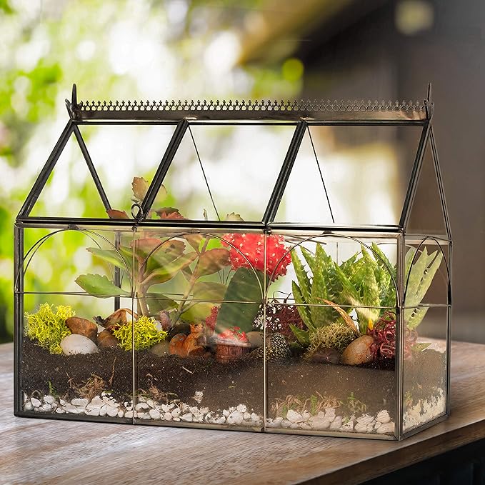 D'Eco Glass Greenhouse Plant Terrarium (10x4.5x9) - Indoor Tabletop Black Hinged Geometric Planter - Succulents, Air Plants, Moss, Fern - Home Garden Office Decor - Gift for Plant Lovers