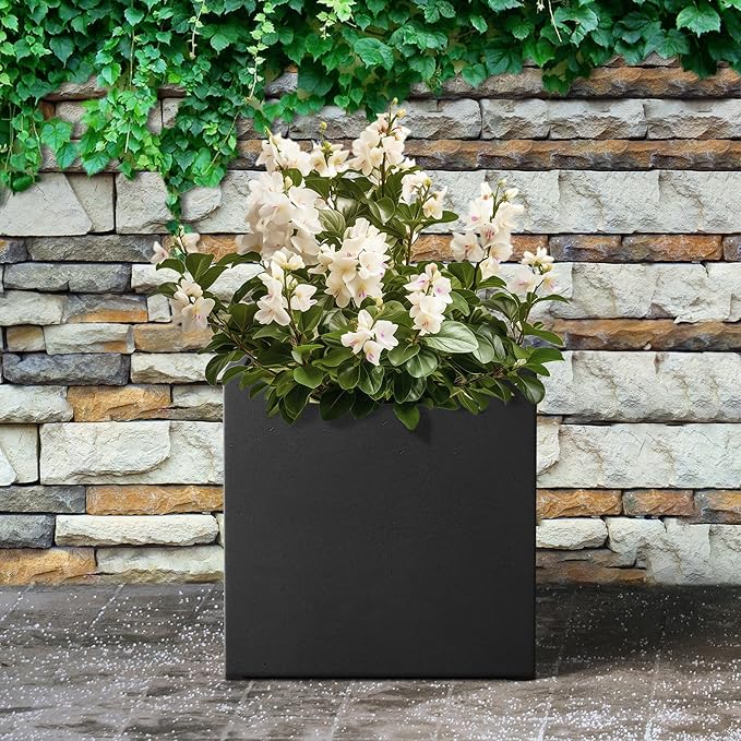Kante 10 Inch Square Concrete Planter for Outdoor Indoor Home Patio Garden, Large Plant Pot with Drainage Hole and Rubber Plug, Black