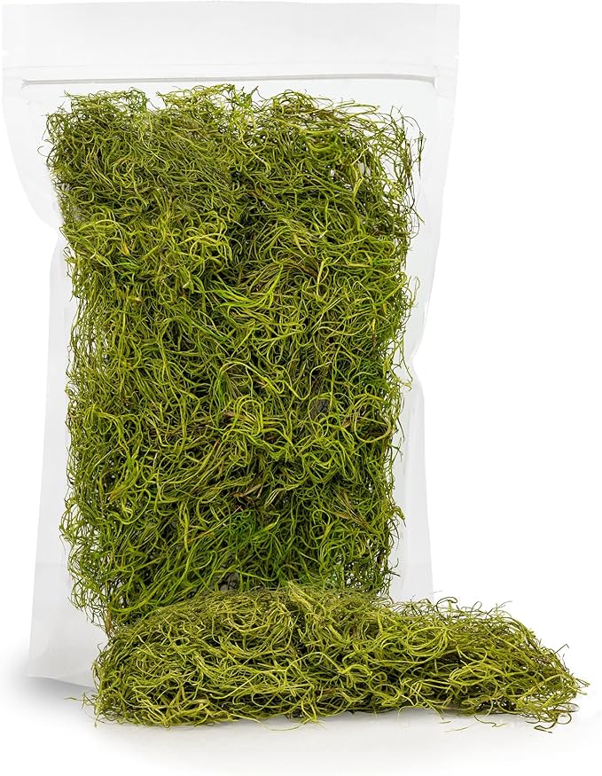 Premium Spanish Moss in Spring Green| Natural Preserved - Great Ground Cover - Filler for Potted Plants - by GARDENERA - 4 Quart Bag