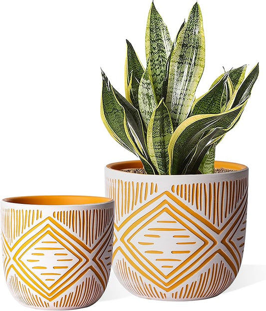 2 Boho Style Terra Cotta Pots, 6 Inch Yellow Plant Pots with Drainage Holes, Suitable for Indoor Plants Ferns,Vines, Succulents and Outdoor Plants Growing, a Gift for Plant Lovers
