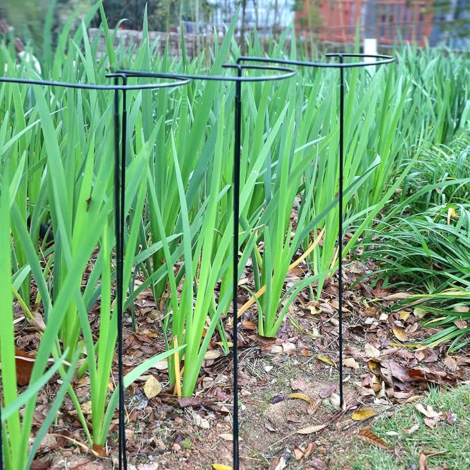 TCBWFY 14" Dx32 H Plant Supports Stakes for Large Heavy Plants,6 Pack Peony Supports,Heavy Duty 5mm Wire Peony Cages,Interlock Garden Supports Ring Border Support,Plant Support Cage for Rose Flower