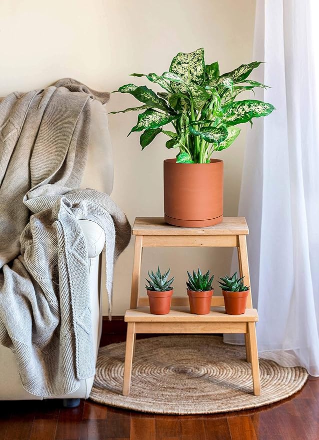 D'vine Dev Large 10 Inch Terracotta Plant Pot with Drainage Hole and Saucer, Round Cylinder Planter Pot for Indoor Plants, Set of 2, 40-X-B-5