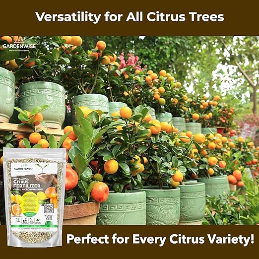 Professional Citrus Fertilizer + Vital Micronutrients; Perfect Balanced NPK for All Citrus; for Indoor and Outdoor Plants; Orange, Lime, Avocado and Lemon Tree Fertilizer (20 QUARTS)