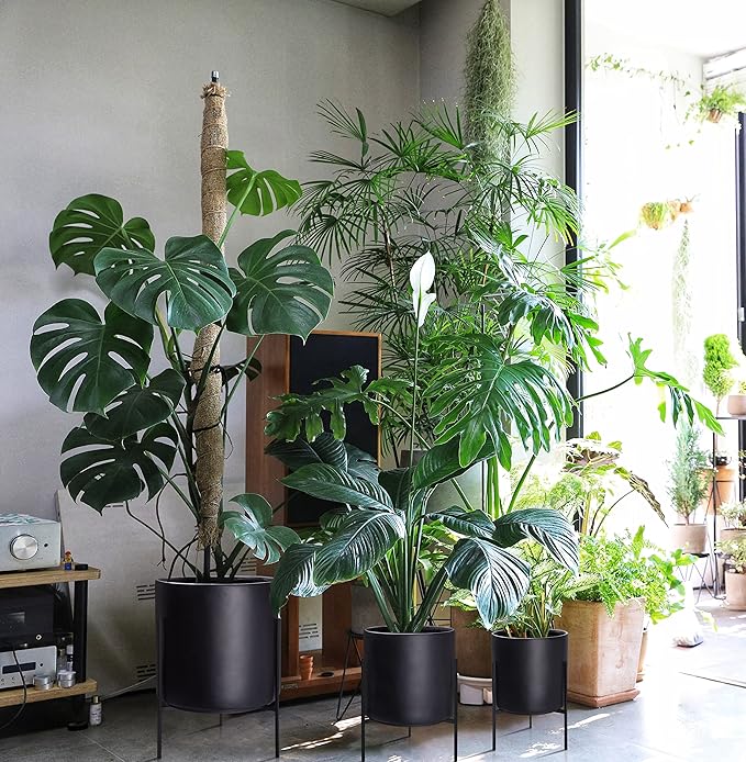 D'vine Dev Mid Century Plants Pot Cylinder Planter with Heavy Duty Stand, XX-Large 16 Inch Pot, 22.8 Inch with Stand Height, Black, 96-T-B-5