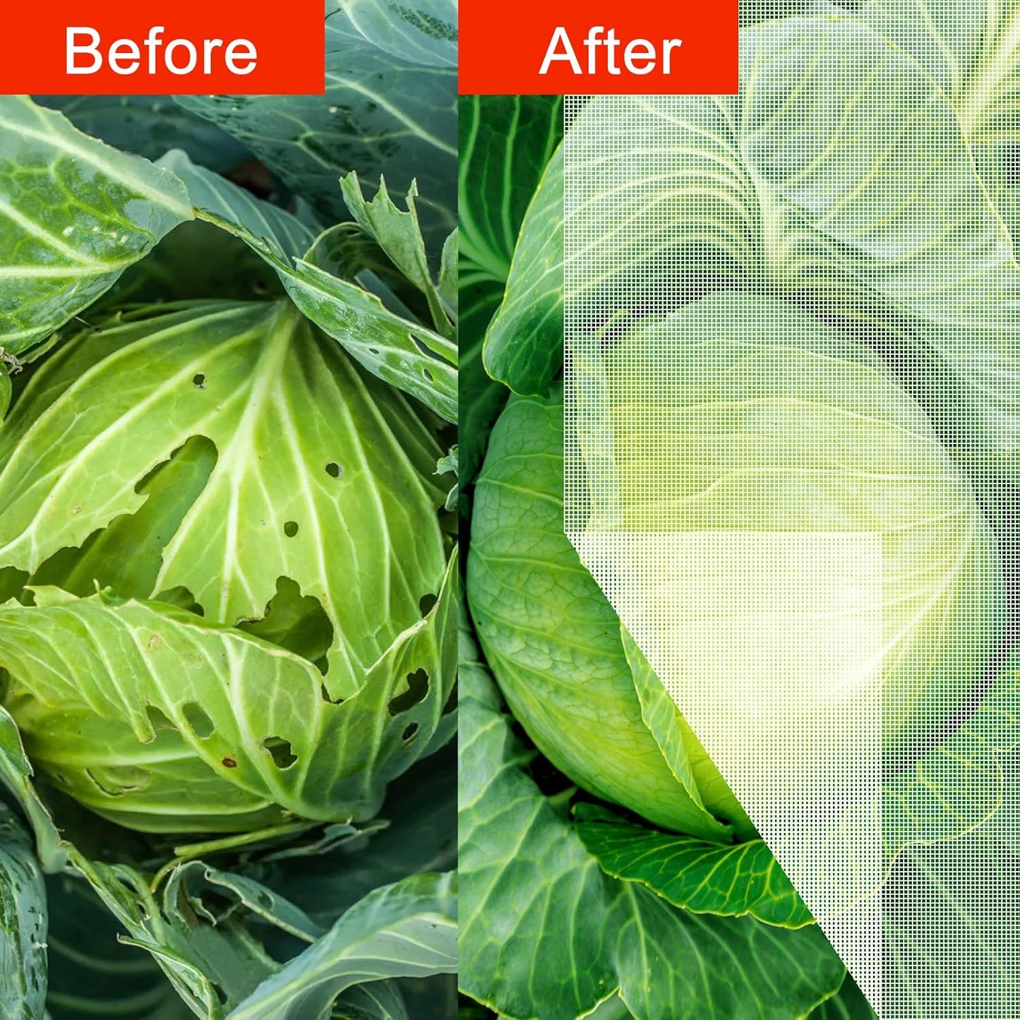 Agfabric Garden Netting Barrier Net, Bird Netting for Garden Trees Vegetable and Plants 6.5'x50', White