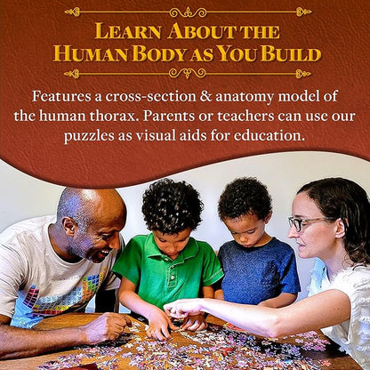 Human Thorax Anatomy Puzzle - Adult Jigsaw Puzzles Unique Gifts for Kids, Nurses, Doctors, Medical Students, Educational Science - 411 Piece Teen Floor Puzzle - Genius Games Dr. Livingston Body Model