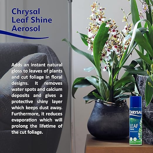 Chrysal LeafShine Spray for Indoor Plants - 5.6 oz