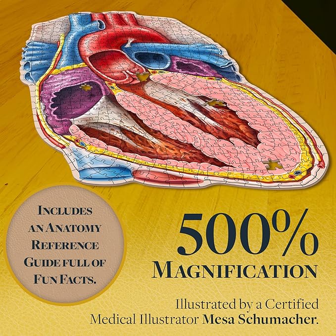 Dr. Livingston's Human Heart Anatomy Puzzle - A Medically Accurate Jigsaw Puzzle of the Heart Section - Educational Organ Puzzle for Teens & Adults - Unique Science Gift for Doctors, Nurses & Teachers