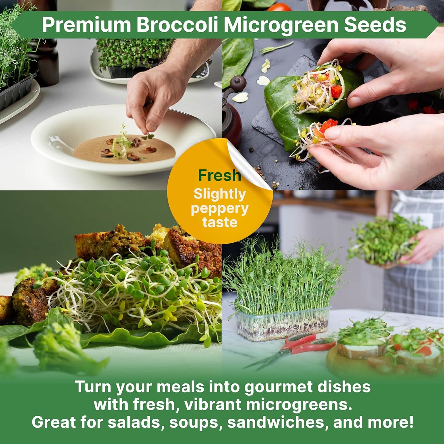 Organo Republic Broccoli Sprouting & Microgreens Seeds - 65,000 Non-GMO Heirloom Seeds, Sprouts in Bulk 8oz Resealable Bag for Planting & Growing in Soil, Coconut Coir, Aeroponic & Hydroponic System