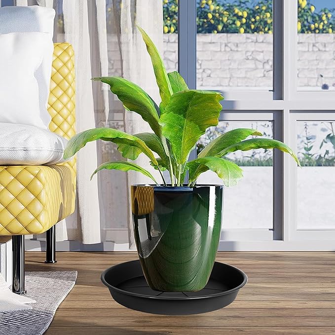 6 Pack of Plant Saucer Tray 9 10 inch, Heavy Duty Plastic Pot Plant Drip Trays Saucers for for Indoors Outdoor, Plant Water Tray for Planters 9-10" (10", Black)