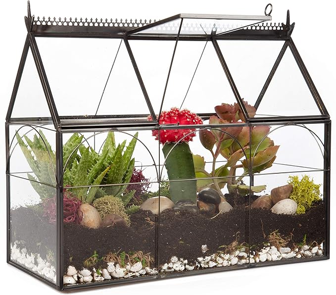 D'Eco Glass Greenhouse Plant Terrarium (10x4.5x9) - Indoor Tabletop Black Hinged Geometric Planter - Succulents, Air Plants, Moss, Fern - Home Garden Office Decor - Gift for Plant Lovers