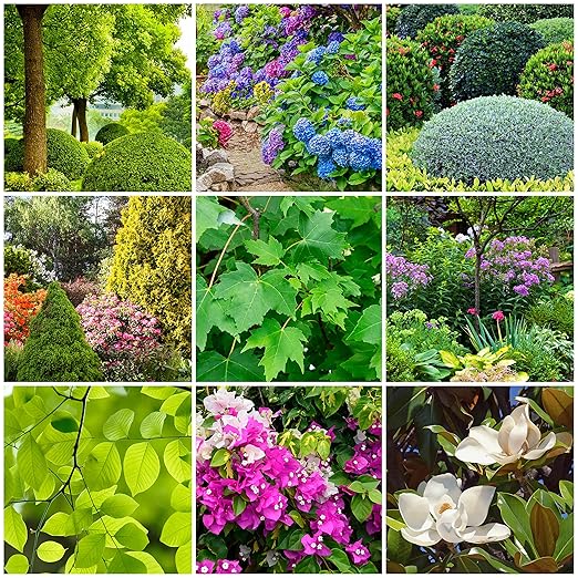 Tree & Shrub Fertilizer Spikes (12 Spikes - 3.0 Lbs)