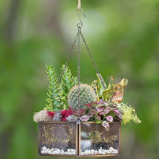 Deco Glass Geometric DIY Terrarium, Succulent & Air Plant- Hanging Mini Hexagon Shaped for Indoor Gardening Decor- Create Your own Flower, Fern, Moss Centerpiece- Amazing Holiday and Wedding Gift