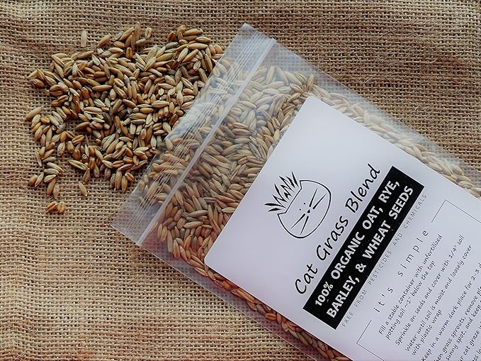 Simple Cat Grass Blend | 100% US Organic + 4 Popular Seeds | Wheat, Barley, Oats, Rye Mix Combo | Show Your Love with a Healthy Pet Snack Treat (6 Ounce ~4800 Seeds)